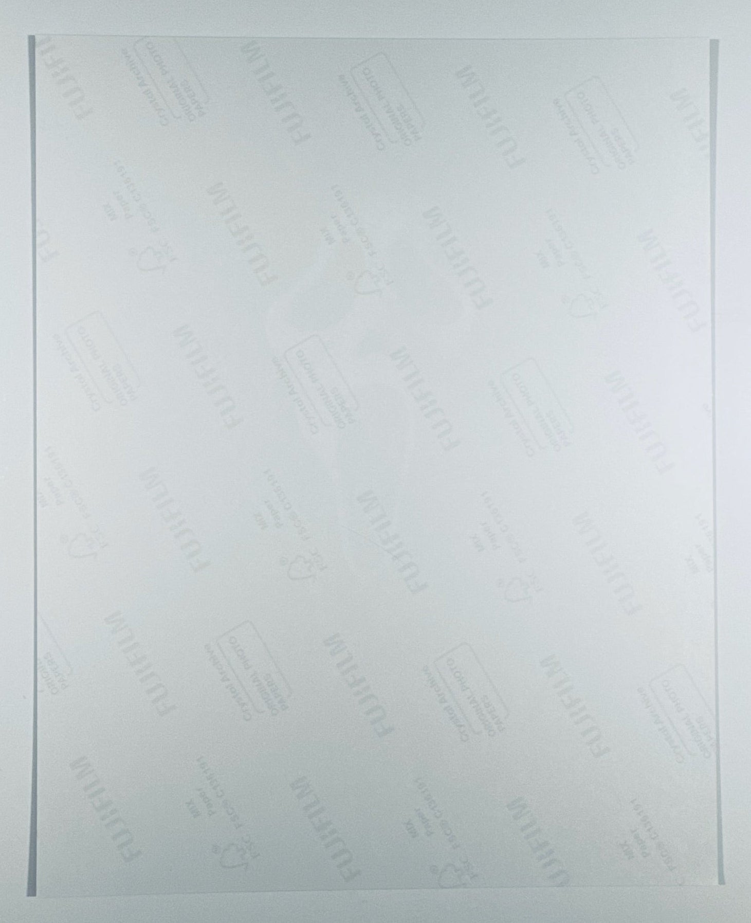 The back of the 8x10 photograph showing its current condition and paper quality.