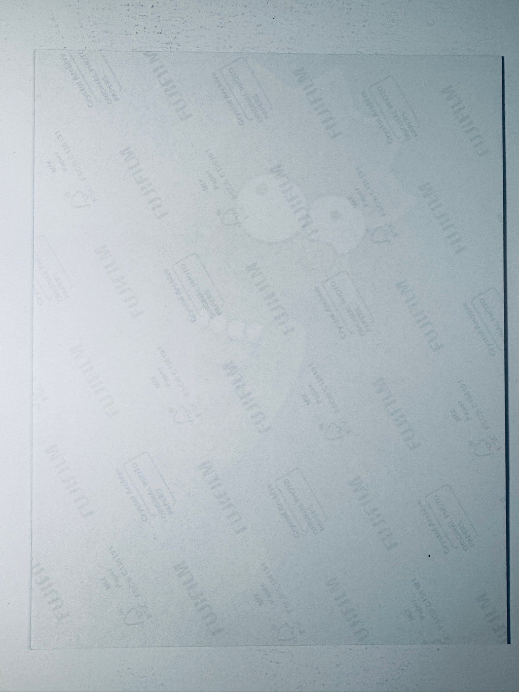 Back condition view of the Fujifilm Crystal Archive paper for the Yeardley Smith signed Lisa Simpson 8x10 photo.