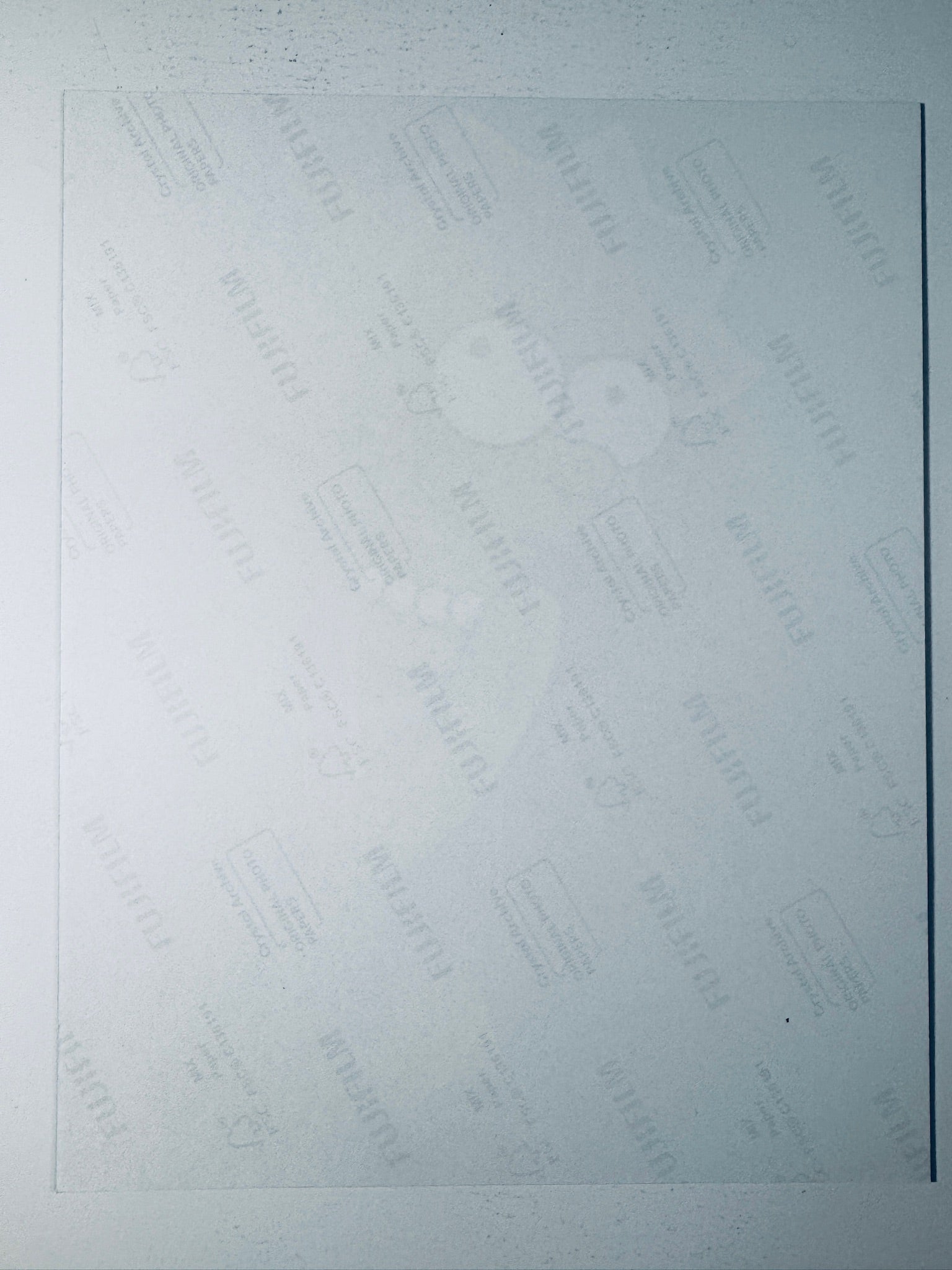 Back condition view of the Fujifilm Crystal Archive paper for the Yeardley Smith signed Lisa Simpson 8x10 photo.