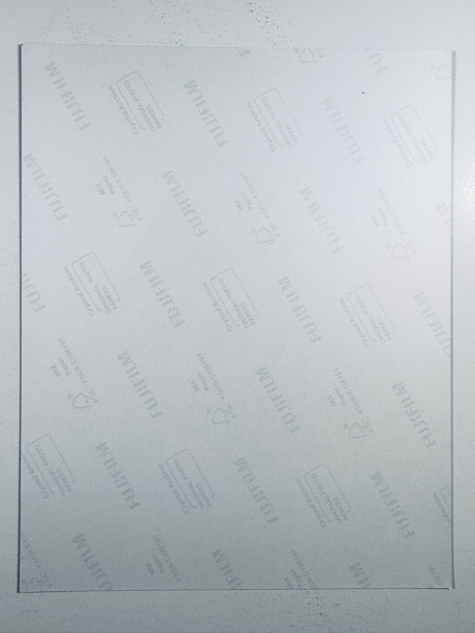 The plain white reverse side representing the back physical condition of the photograph print, showing translucent Fujifilm crystal archive paper watermarks and logos.